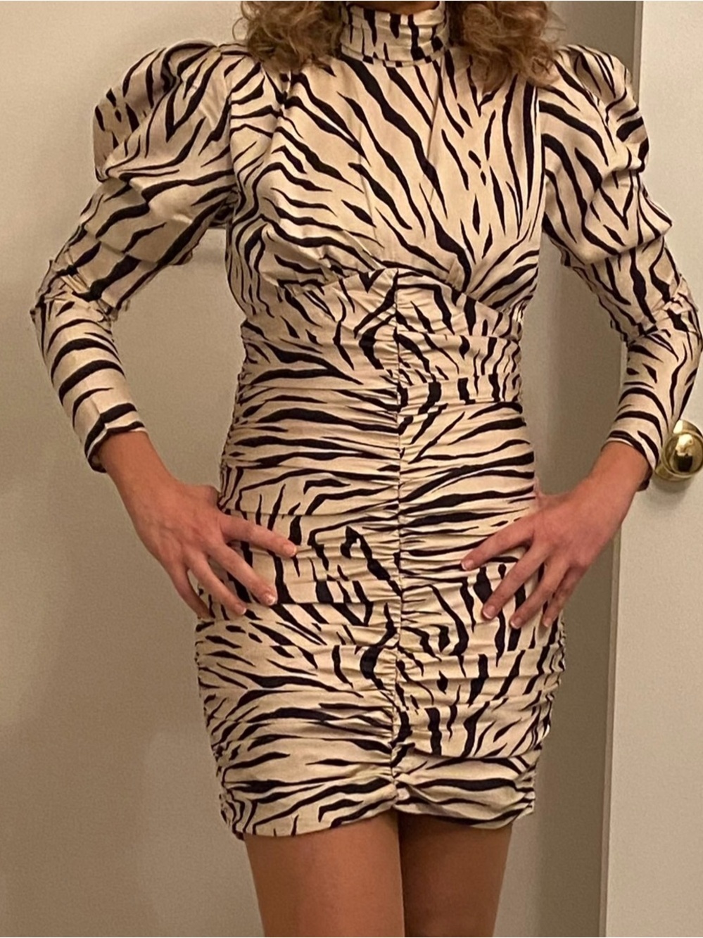 Bardot High-Neck Zebra Ruched Puff-Sleeve Top - Cream & Black